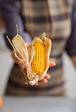 Closeup of woman's hand holding corn on the cob in its husk
