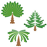 coniferous, deciduous tree and palm