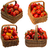 Basket with tomatoes. 