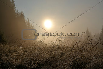 Foggy landscape with house in the mountains at the summer mornin