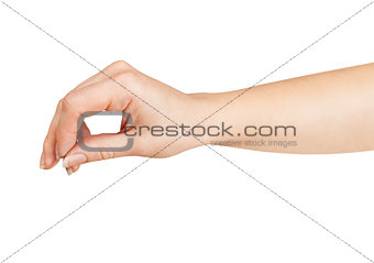 female hand holding something isolated on white background