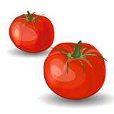 Set of Two Glossy Red Tomatoes