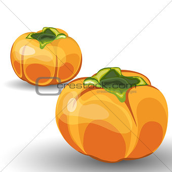 Set of Two Glossy Orange Permisson