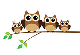 Owl Family