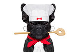 chef cook dog 