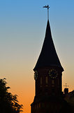 Tower Konigsberg Cathedral at sunset. Kaliningrad, Russia