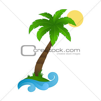 Palm tree on a white background