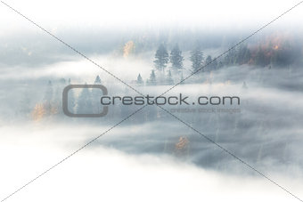 Autumn season, wild forest  in sunrise fog and clouds