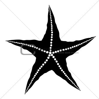Silhouette  of Starfish