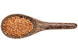 gluten free brown rice grain