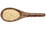 gluten free sorghum grain