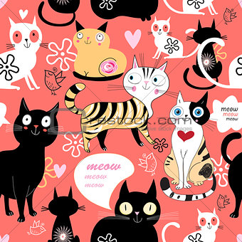 pattern in love with a cat
