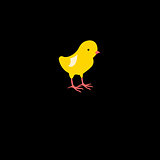 icon beautiful yellow chick