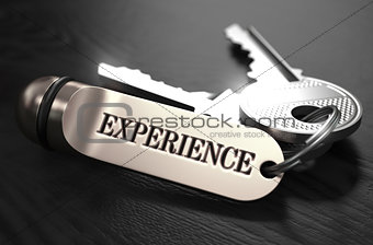 Experience Concept. Keys with Keyring.