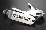 Teamwork Concept. Keys with Keyring.