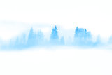 Winter Abstract Landscape - wild trees in the misty fog