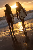 Woman Bikini Surfer Girls & Surfboards Sunset Beach