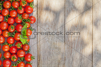 Ripe cherry tomatoes and basil