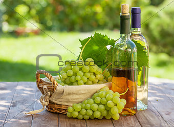 White wine bottles, vine and grapes