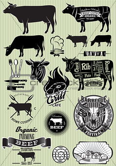 set of templates on the theme of cow beef for design