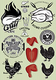 set of templates on the theme of chicken for design