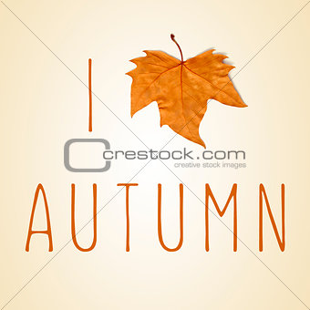 text I love autumn with a dry leaf instead of a heart