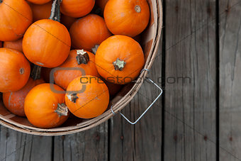 Baby pumpkins in a basket
