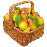 Basket with pears.