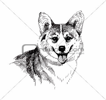 Puppy dog hand drawn, black and white illustration sketch