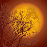 autumn branches and the moon01