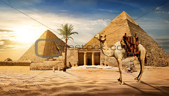 Entrance to pyramid