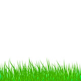 Lawn green grass abstract natural background