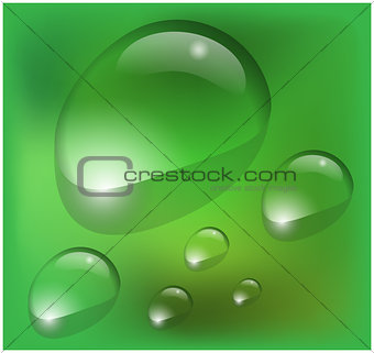Vector water drops on green background