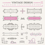 Calligraphic vintage elements. Vector baroque set. Design icons