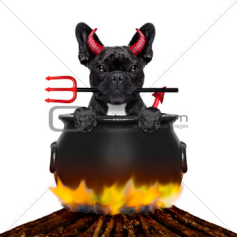 halloween dog and bonfire
