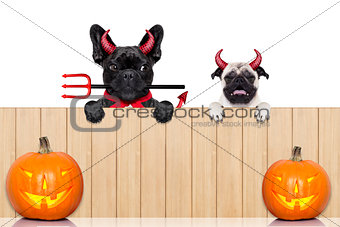 row of halloween dogs