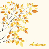 Shiny Autumn Natural Leaves Background. Vector Illustration
