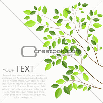Beautiful Green Tree on a White Background Vector Illustration