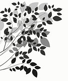 Beautiful Tree Silhouette on a White Background Vector Illustrat