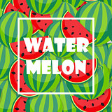 Background from Watermelon. Vector Illustration
