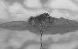 3D black and white image of tree in still river
