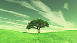 3D landscape with tree on green grass hills