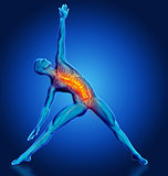 3D male figure in yoga pose with spine highlighted