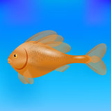 Sea Fish