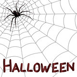 Big horrifying spider on the web
