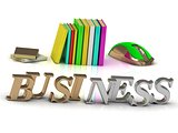 BUSINESS - inscription bright volume letter and textbooks