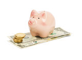 Piggy bank on dollars