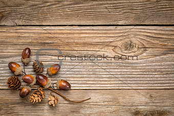 rustic grained wood with fall decoration