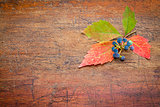 fall decoration background