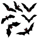 Flying Bats Set